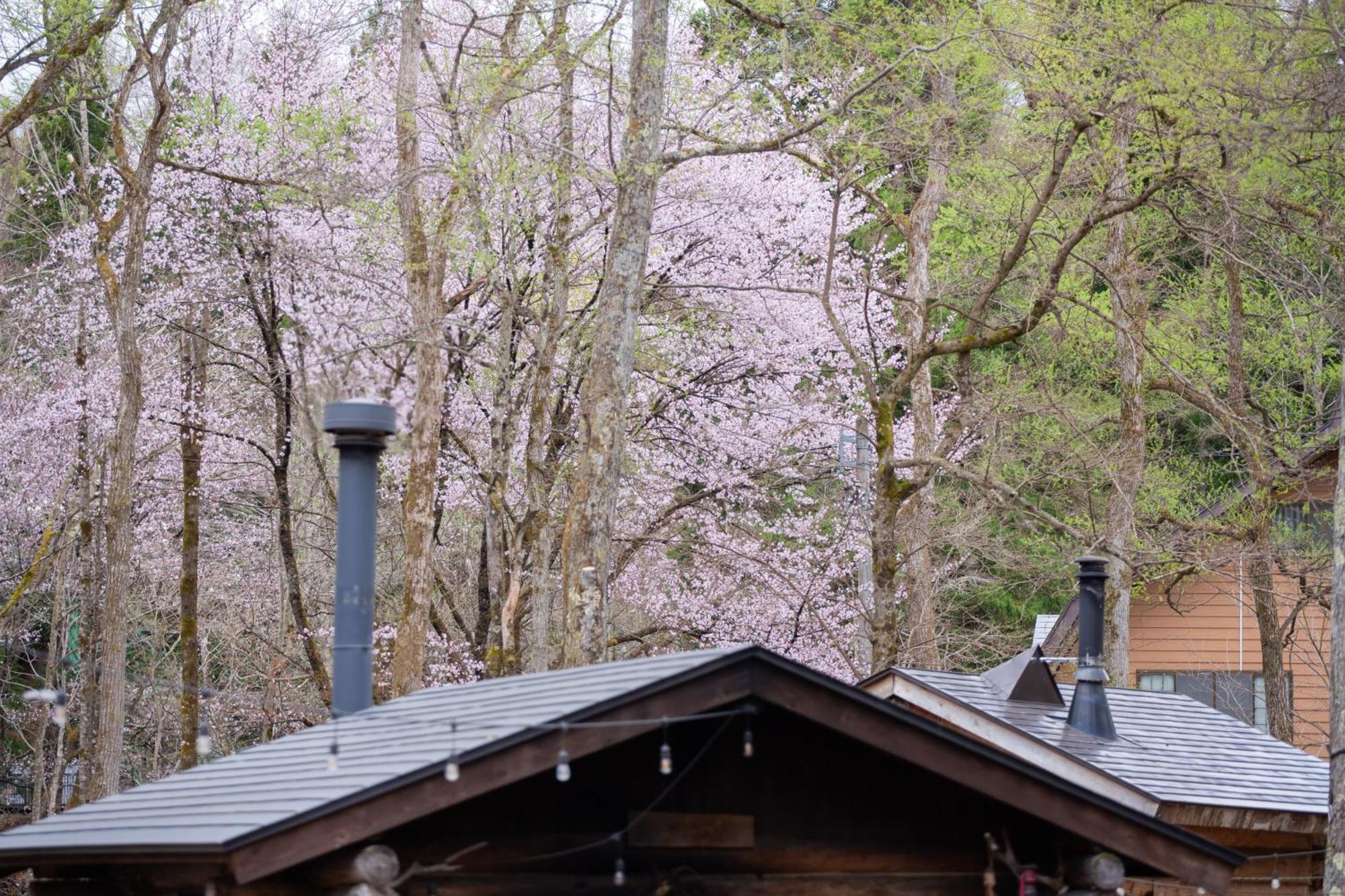 Lamp Nojiriko Otel Shinano  Dış mekan fotoğraf